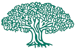 Summertree Residential Centers, Inc.